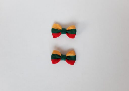 Segtukai plaukams "Lietuva"